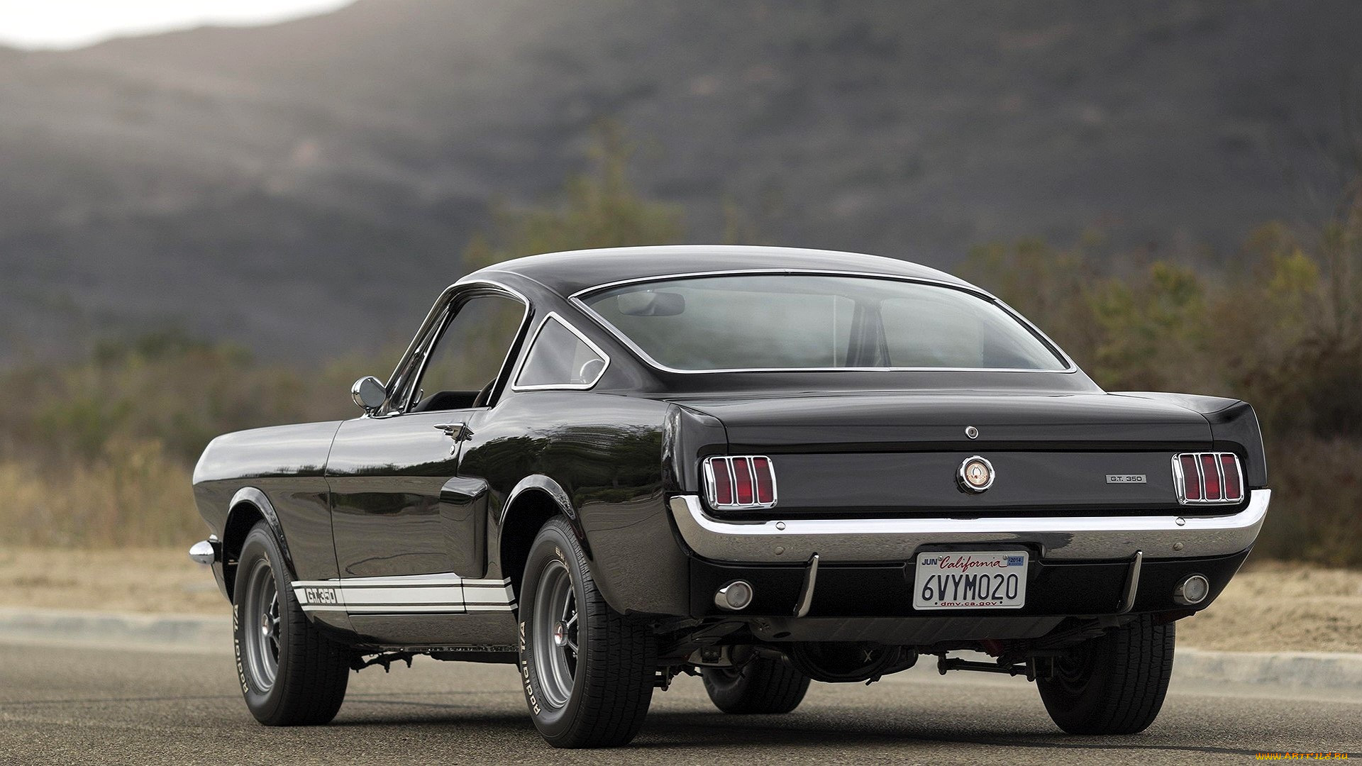 ford mustang shelby, , mustang, , , 